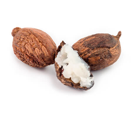 The Natural Healing Properties of Shea Butter